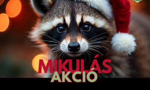Idén a Mikulás kedvezményes Zoo Tábor hoz!