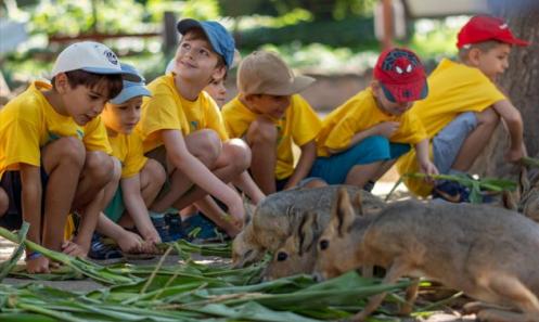 Tavaszi Zoo Tábor 2026