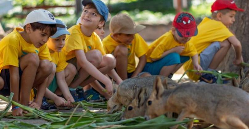 Tavaszi Zoo Tábor 2026