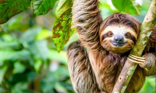Március 1-től megnyitjuk a jelentkezést a nyári táborunra